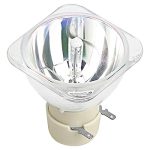 BULB 230 W